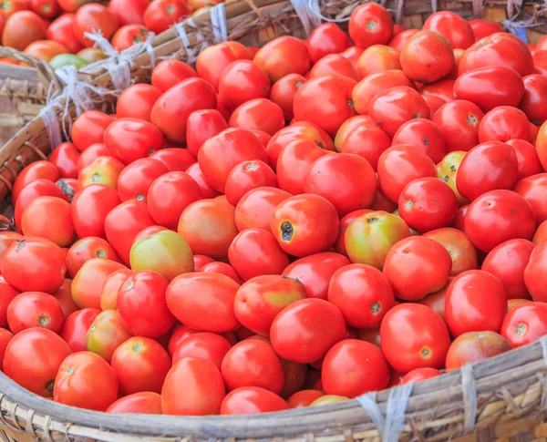 Un sacco di pomodori — Foto Stock