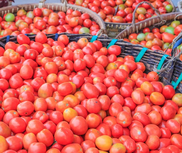 Un sacco di pomodori — Foto Stock