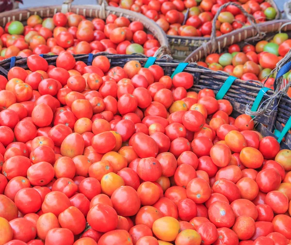 Lots of tomatoes — Stock Photo, Image