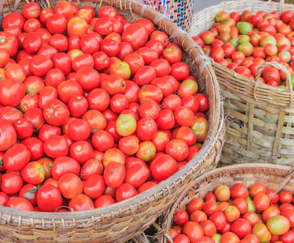 Venez lancer des fleurs ou des tomates aux acteurs - Page 20 Depositphotos_55152073-stock-photo-lots-of-tomatoes