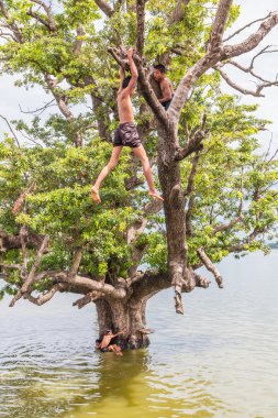 Myanmar çocuklar U olmak Bridge yakınındaki nehirde ağaçtan atlayarak oynuyordu