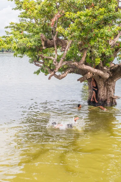 Myanmar bambini stavano giocando saltando dall'albero al fiume vicino a U Bein Bridge — Foto Stock