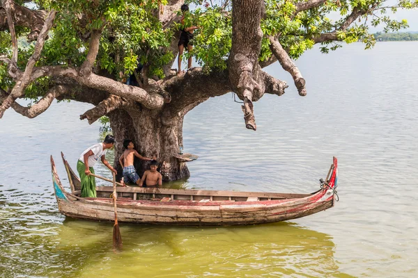 Myanmar children were playing by jumping from the tree at the river near U Bein Bridge — Stock Photo, Image