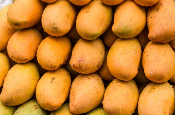 Mango fruit — Stock Photo, Image