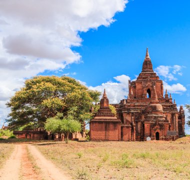 Bagan eski antik tapınak bir manzaraya