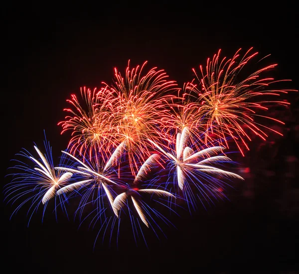 Hermosos fuegos artificiales en celebración — Foto de Stock