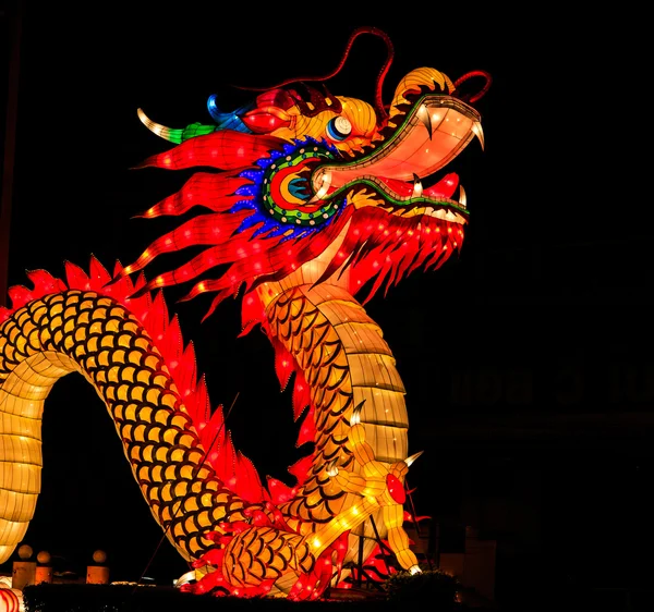 Dragon in the night — Stock Photo, Image