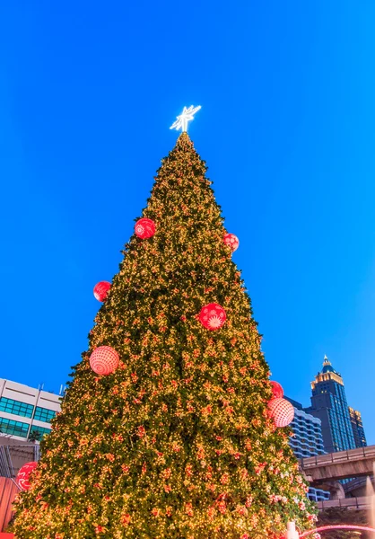 La iluminación del árbol de Navidad —  Fotos de Stock