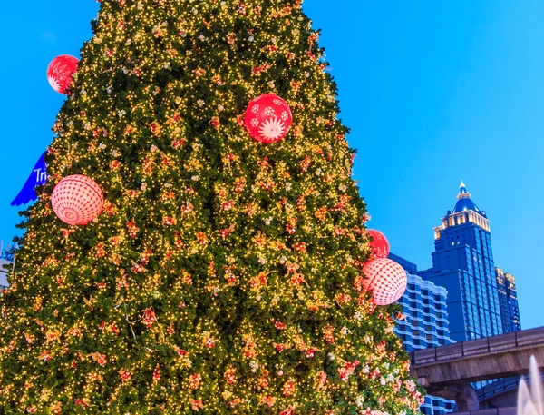 A iluminação da árvore de Natal — Fotografia de Stock
