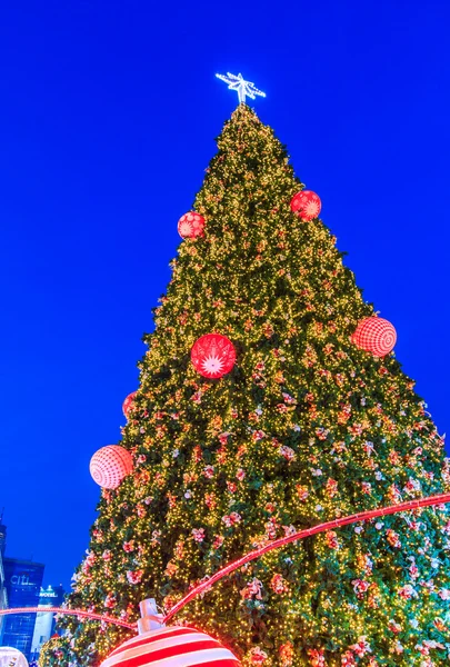 A iluminação da árvore de Natal — Fotografia de Stock