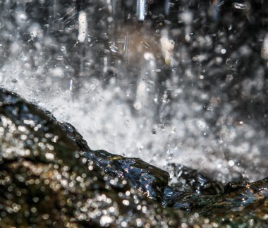 Yeşil ormanda şelale