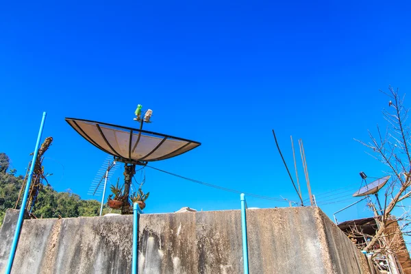 Satellite dish — Stock Photo, Image