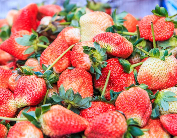 Frische Erdbeere — Stockfoto