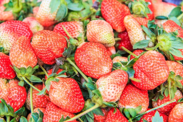 Fresh strawberry — Stock Photo, Image