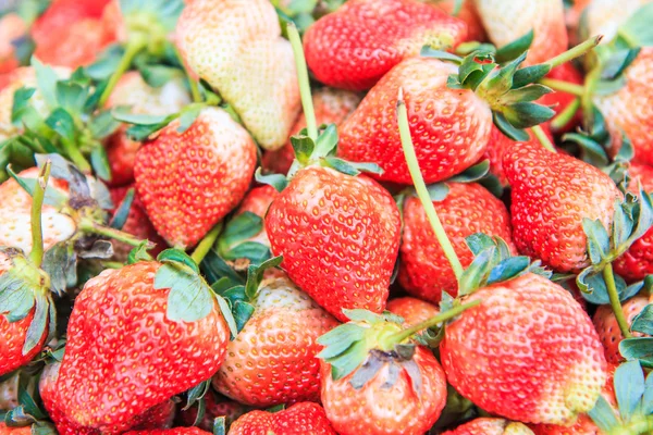 Fresh strawberry — Stock Photo, Image