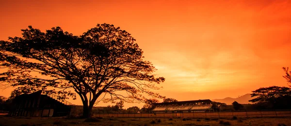 Wintersonnenuntergang in der Natur — Stockfoto