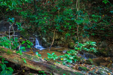 Şelale, Sra Nang Manora orman Park şelale