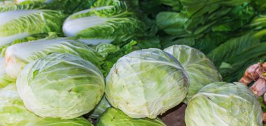 yeşil lahana ve marul