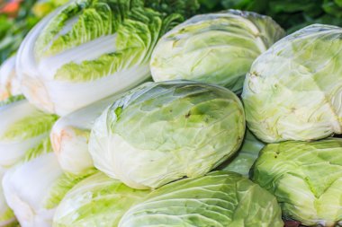 yeşil lahana ve marul