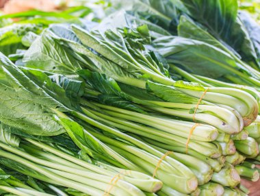 Brassica chinensis Jusl var parachin