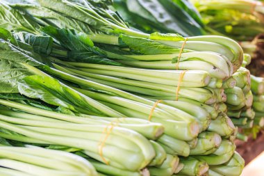 Brassica chinensis Jusl var parachin