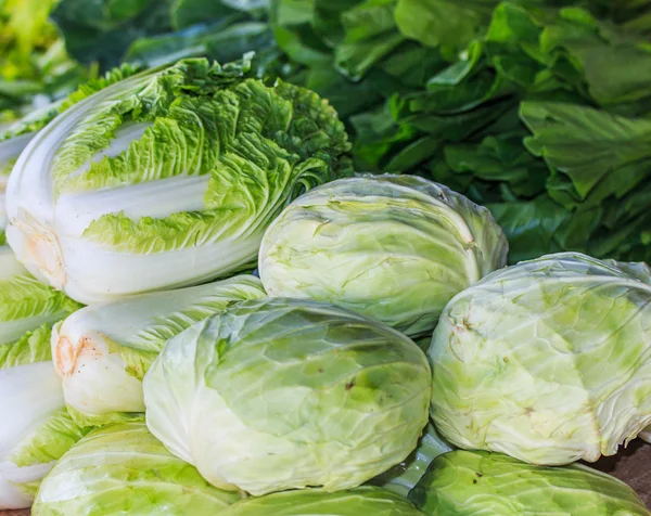 Green cabbage and lettuce — Stock Photo, Image