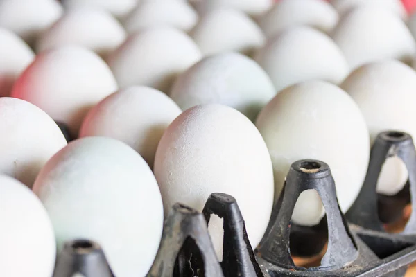 Salted egg and duck eggs — Stock Photo, Image