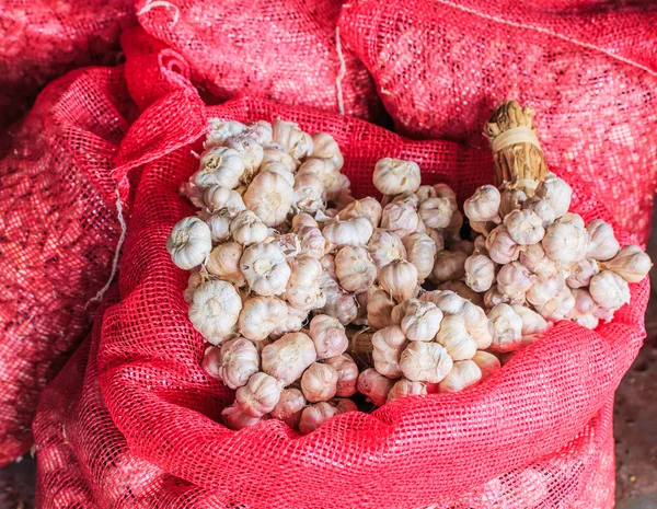 Garlic in bag or sack — Stock Photo, Image