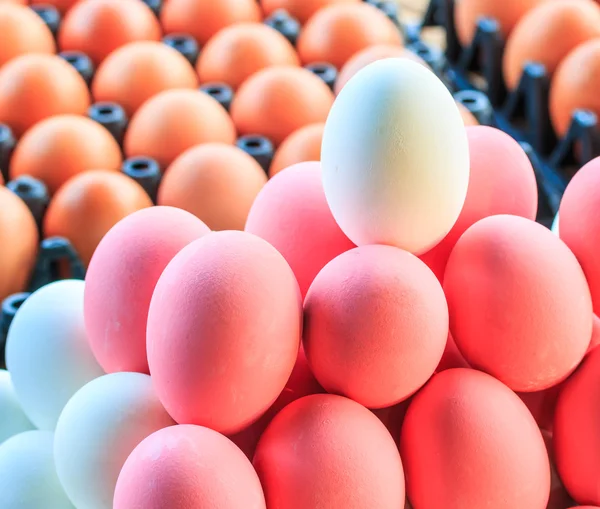 Eggs in box — Stock Photo, Image