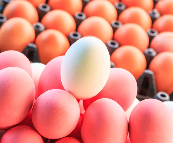 Eggs in box — Stock Photo, Image