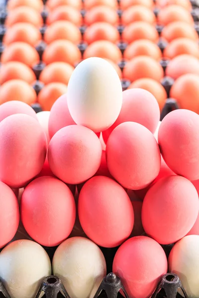 Eggs in box — Stock Photo, Image