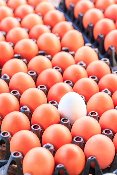 Eggs in box — Stock Photo, Image