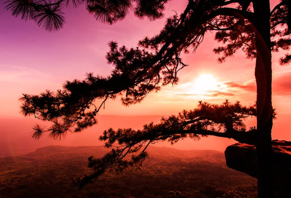 Cliff batımında güzel kış — Stok fotoğraf