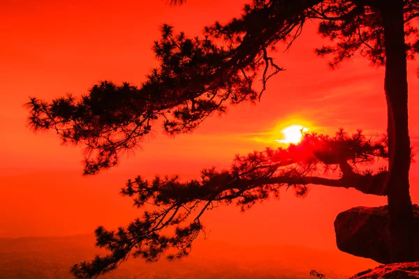 Hermosa puesta de sol de invierno en el acantilado — Foto de Stock