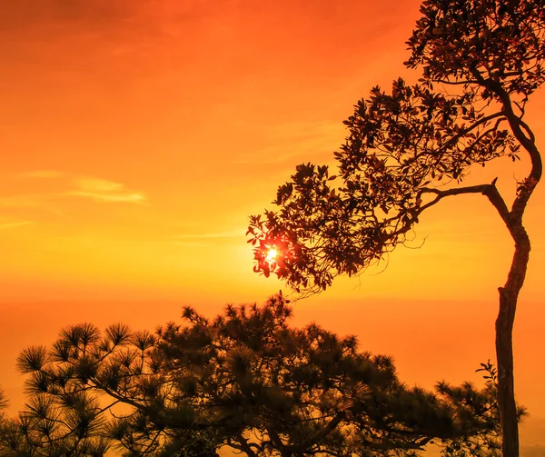 Belo pôr do sol de inverno no penhasco — Fotografia de Stock