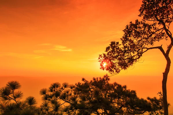 Schöner Wintersonnenuntergang an der Klippe — Stockfoto