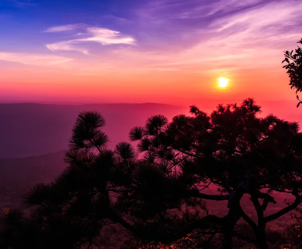 Schöner Wintersonnenuntergang an der Klippe — Stockfoto