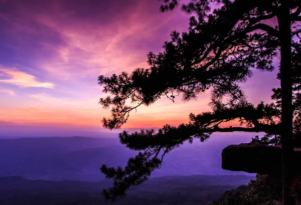 Schöner Wintersonnenuntergang an der Klippe — Stockfoto