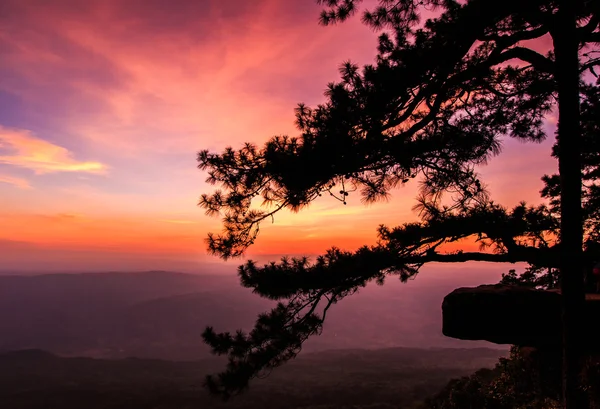 Schöner Wintersonnenuntergang an der Klippe — Stockfoto