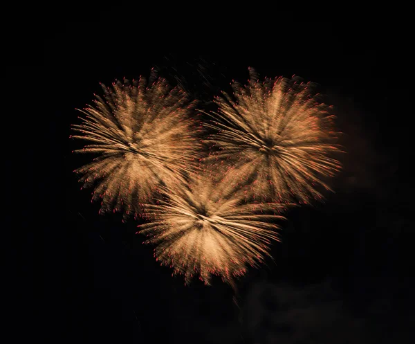 美丽多彩的节日烟花 — 图库照片