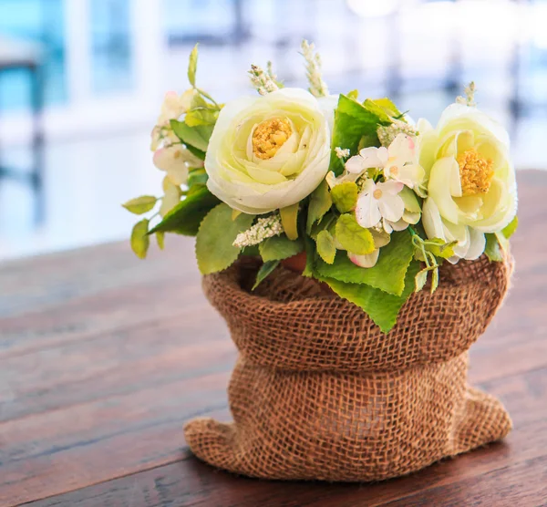 Zierblumen — Stockfoto