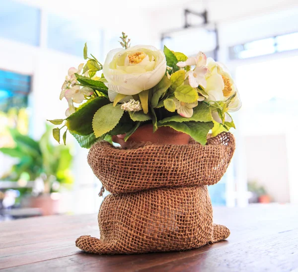 Zierblumen — Stockfoto