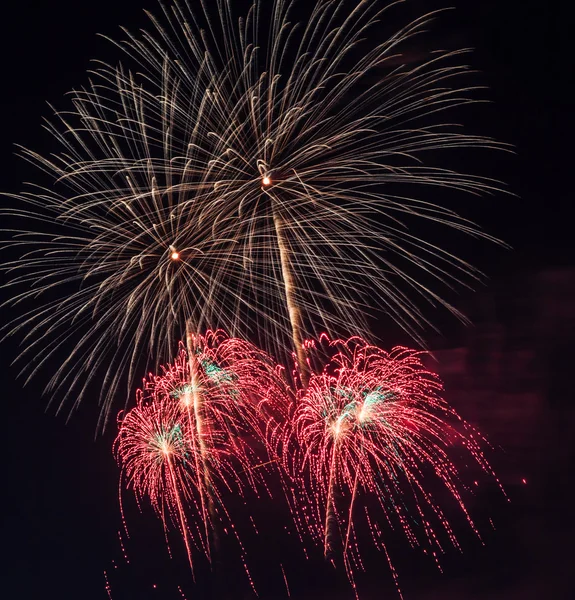 Beautiful colorful holiday fireworks Stock Image