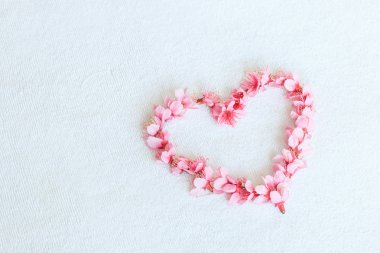 Kalp şeklinde Sakura veya kiraz çiçekleri