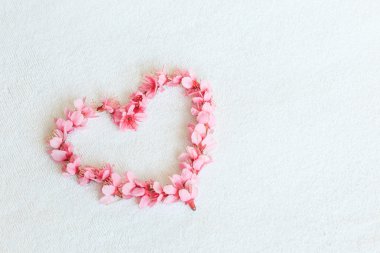 Kalp şeklinde Sakura veya kiraz çiçekleri