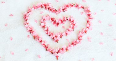 Kalp şeklinde Sakura veya kiraz çiçekleri