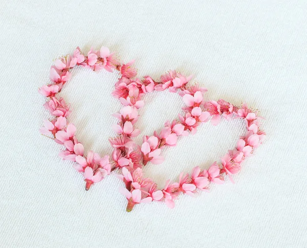 Sakura or cherry blossoms in the shape of heart — Stock Photo, Image