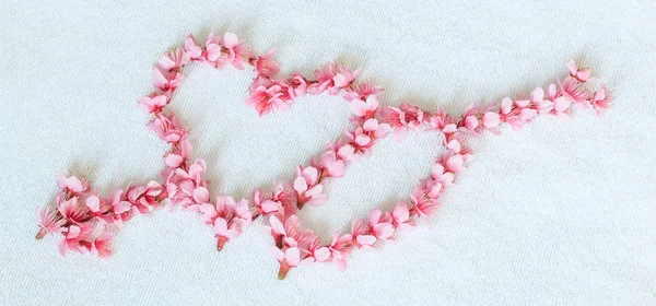 Sakura or cherry blossoms in the shape of heart — Stock Photo, Image