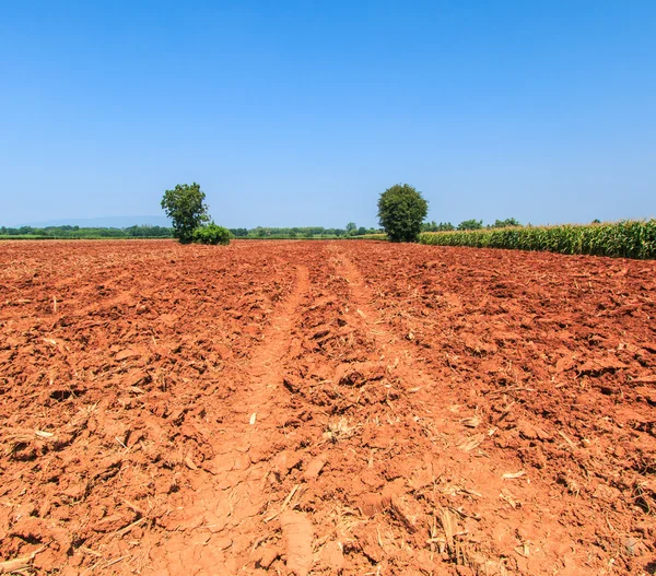 Land with soil preparation — Stock Photo, Image