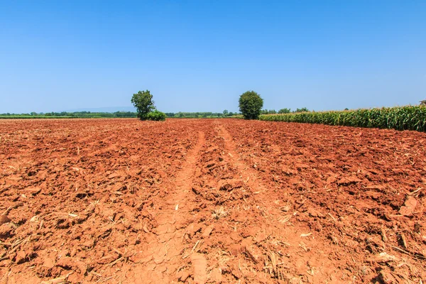 Terreno com preparação do solo — Fotografia de Stock